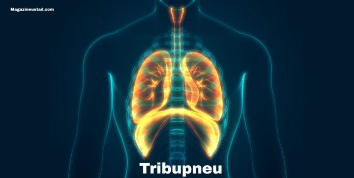 Tribupneu